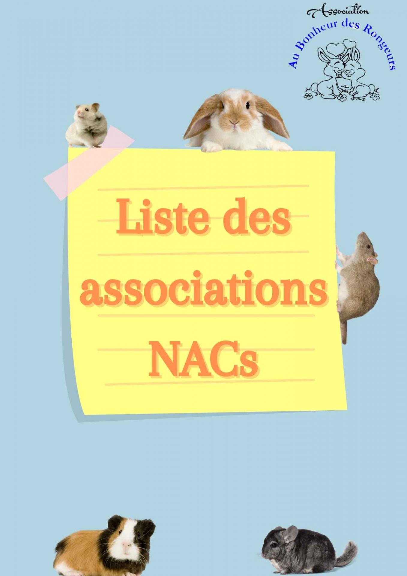 Fiche NAC : La souris - Au Bazar des NAC
