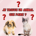 Adopteadoption 2 